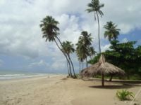 Praia de Porto de Galinhas., Por Maria Santana Loyola