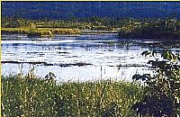 Lagoa do Macuco