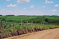 Caminhos