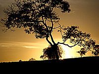Pôr do Sol