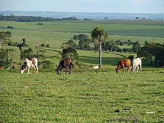 cidade de Eldorado