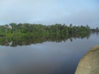 Beira do rio de S�o Miguel do Guam�, Por Jeruza 