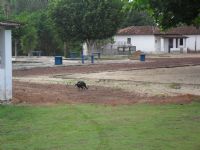 vila Apu� , Por Paulo Ramos