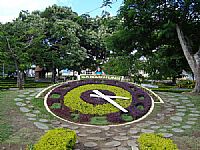 Rel�gio de Flores -
por Walter Leite