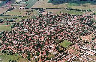 douradina