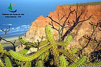 Falésias de Ponta do Mel
