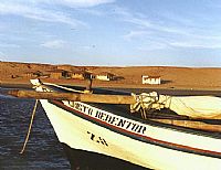 Barco Pesqueiro