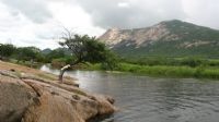  Por Tercio Libanio de Freitas Barros