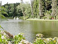 Lago Negro 
