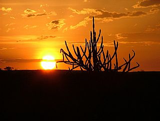 Nossa Terra