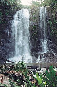 Cachoeira - Chapecó-SC