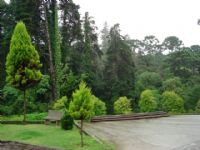 Mosteiro Irm�s Beneditinas, Por Walkiria Melo (Recife-PE)