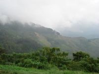 Vista da Serra descida de Campos J, Por Walkiria Melo (Recife-PE)
