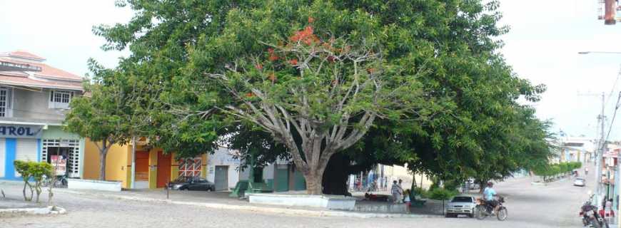 Várzea do Poço-BA