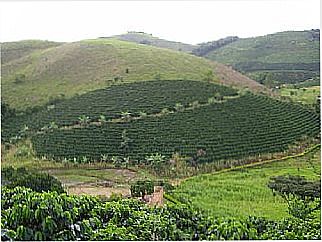 cidade de S�o Raimundo da Pedra Menina
