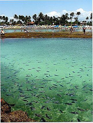 cidade de Porto de Galinhas