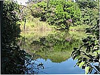 Espelho D��gua no Parque de �guas Claras-Foto:pelosi