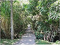 Passagem no Parque �guas Claras-Foto:pelosi