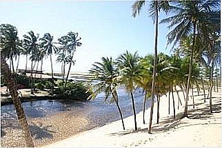 cidade de Praia de Puna�