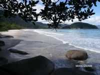 Trindade - Praia do Cachadaço, Por Luis Carlos Mantovani