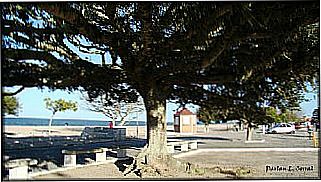 cidade de Praia do Laranjal