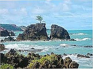 cidade de Praia de Tambaba - Naturalista