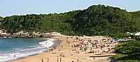 Praia do Pinho - Naturalista - Praia do Pinho - Naturalista