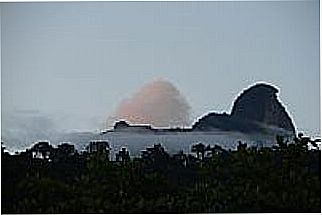 cidade de Praia Brava - Naturalista