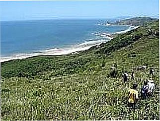 cidade de Praia da Galheta  - Naturalista