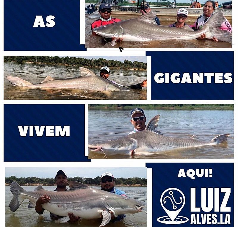 IMAGENS DA LOCALIDADE DE LUIZ ALVES DISTRITO DE SO MIGUEL DO ARAGUAIA - GO - LUIZ ALVES - GO