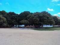 Sobradinho - Sobradinho-BA, Por Foto: José de França