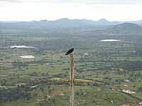 Tanquinho - urubu no morro de tanquinho por glaserjokl