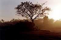 Teixeira de Freitas - Amanhecer em Teixeira de Freitas-BA-Foto:cesar.Boaretto
