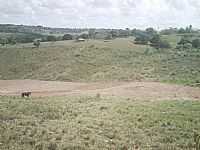 Limoeiro de Anadia - Limoeiro de Anádia-AL-Campos da área rural-Foto:HenriqueNordestenoAt…