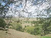 Limoeiro de Anadia - Limoeiro de Anádia-AL-Campos e montanhas na área rural-Foto:HenriqueNordestenoAt…