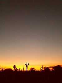 Valente - Valente-BA-Cacto, Crepúsculo e Vênus-Foto:Jorge LN