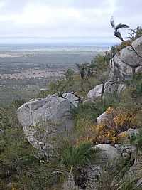 Valente - Valente-BA-Face sul da Serra do Pintado-Foto:orge LN