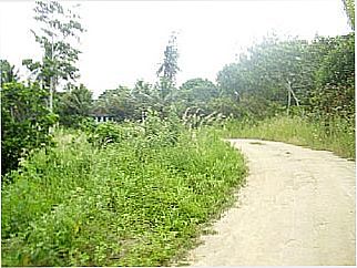 cidade de Varzedo