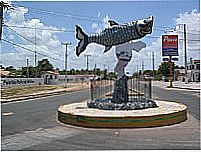O peixe Camurupim na entrada da cidade-Foto:erasmoandrade