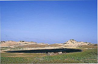 cidade de Amontada