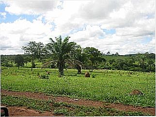 cidade de Aquin�polis