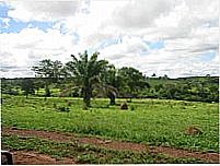 Fazenda no Distrito de Aquin�polis-Foto:Wikip�dia