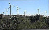Energia E�lica em Aquiraz-Foto:Ivo Dias
