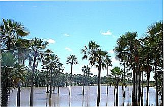 cidade de Aracatiara
