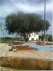 Praça e a eterna Oiticica em Aracatiara-Foto:CRSS3