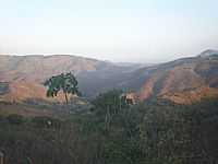 Aratuba - Vista da Serra de Aratuba, antiga Vila de Coité-CE-Foto:juliolima