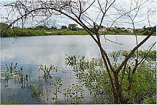 cidade de Aroeiras