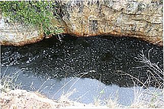 cidade de Ibugua�u