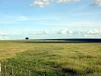 Iguatu - Iguatu-CE-Campos da região-Foto:Carlos Henrique Arau…