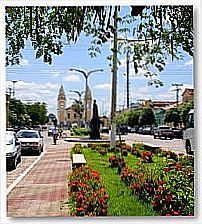 Canteiro florido na Av.Cel.Serafim Chaves e Catedral-Foto:Rubens Craveiro